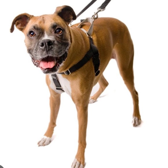 Brown Freedom No-Pull Dog Harness - Size Medium - Picture 12 of 12